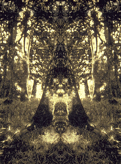 Forest Spirits no. 12
